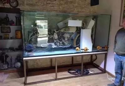 搬家怎么搬魚缸視頻：搬家時魚缸搬運注意事項在搬家過程中注意事項和注意事項