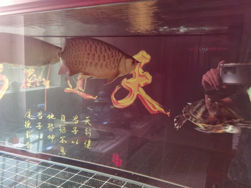 還要多多學習抓拍技術