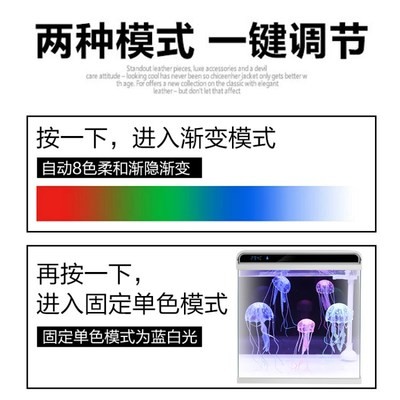 龍魚虎魚混養(yǎng)用什么底色最好呢（虎魚龍魚魚缸貼什么顏色壁紙）