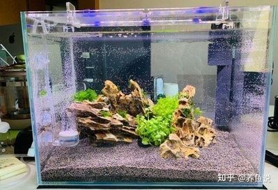 大魚缸無(wú)法困水怎么換水：大魚缸換水的正確方法