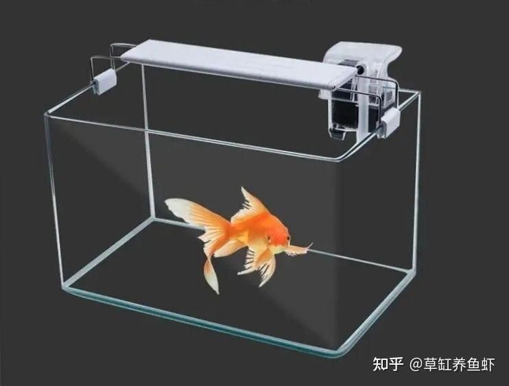 出售低價魚缸合法嗎安全嗎：出售低價魚缸合法嗎？