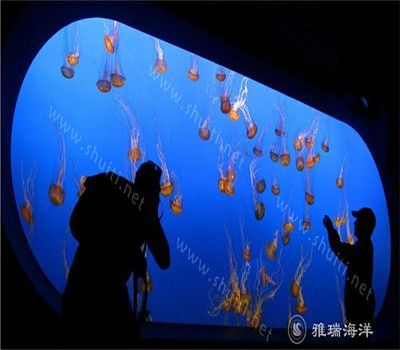 超大玻璃魚缸制作 超大玻璃魚缸制作 魚缸百科 第3張