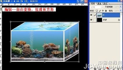 不用了的魚缸怎么處理好看：不用了的魚缸如何處理？