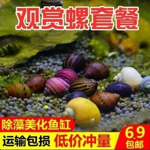 不用了的魚缸怎么處理好看：不用了的魚缸如何處理？