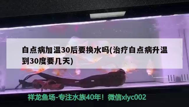 白點病加溫30后要換水嗎(治療白點病升溫到30度要幾天)