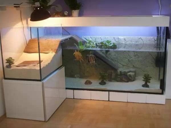 大型魚缸設計和制作方法圖：大型魚缸設計和制作大型魚缸設計和制作方法圖解