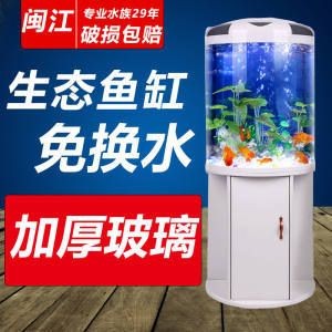半圓魚缸造景攻略：半圓魚缸造景的基本步驟