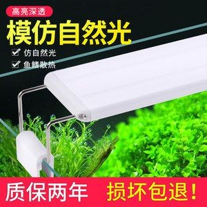 半圓魚缸造景攻略：半圓魚缸造景的基本步驟