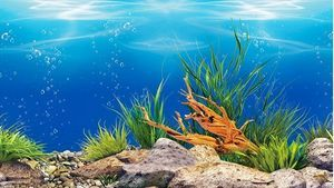 印尼虎魚多少溫度飼養最好:印尼虎魚多少溫度飼養最好印尼虎魚多少溫度飼養最好 紅龍魚回來趴缸一般幾天(紅龍魚回來趴缸一般幾天會死) 紅龍魚百科 紅龍魚回來趴缸一般幾天(紅龍魚回來趴缸一般幾天會死) 紅龍魚回來趴缸一般幾天(紅龍魚回來趴缸一般幾天會死) 紅龍魚百科