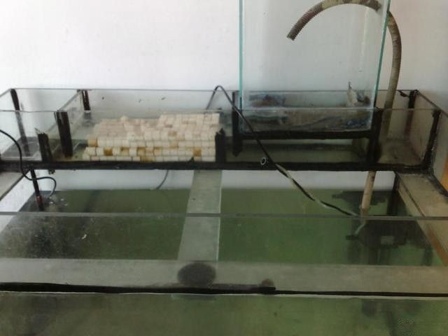 玻璃魚(yú)缸怎么做的視頻：自制玻璃魚(yú)缸制作注意事項(xiàng)自制玻璃魚(yú)缸制作注意事項(xiàng)