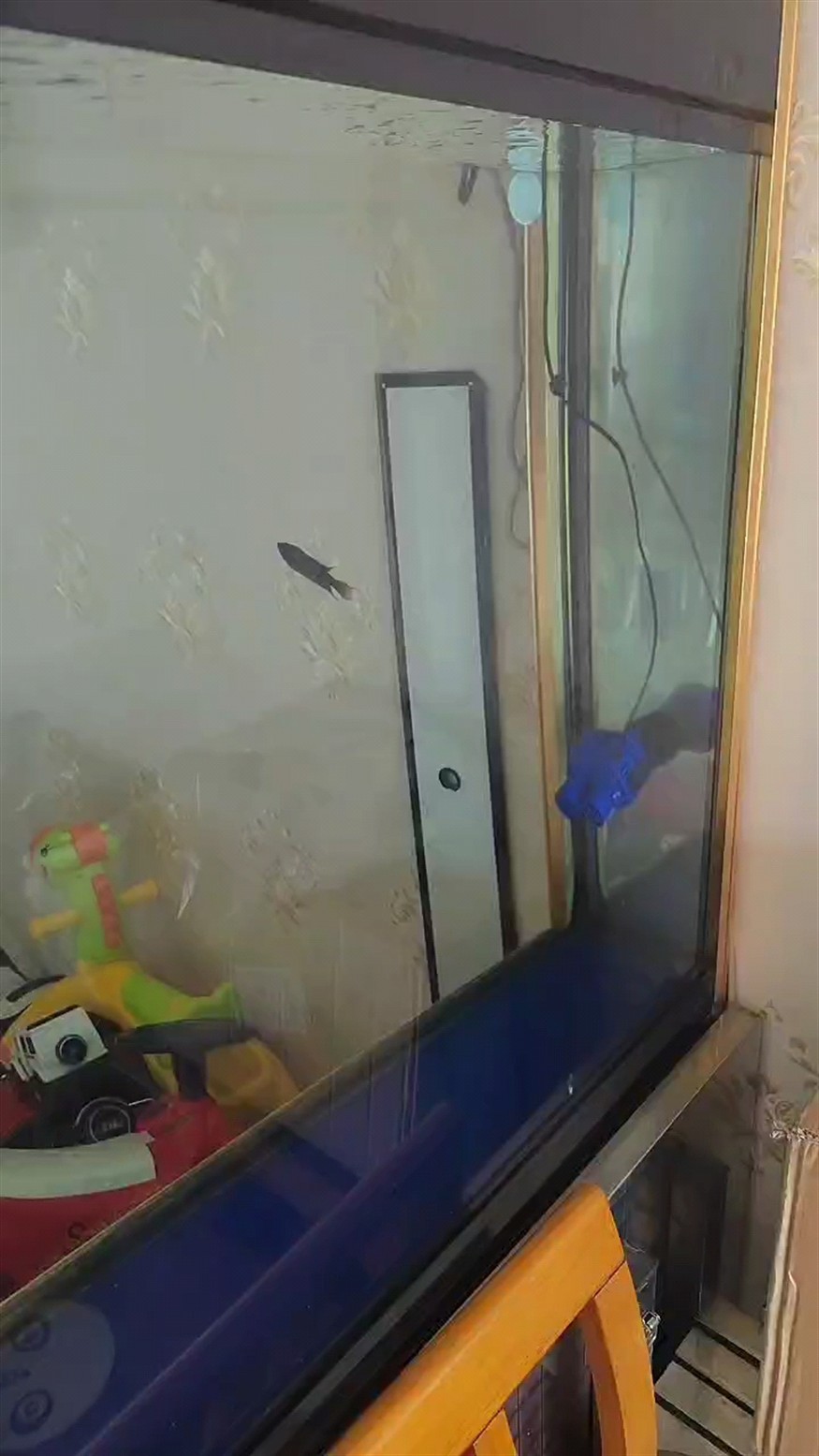 有點大材小用了
