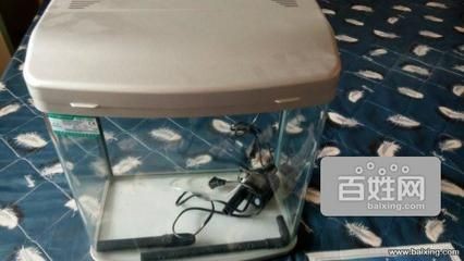 崇州哪里有賣魚缸的地方啊多少錢：崇州地區售賣魚缸的相關信息