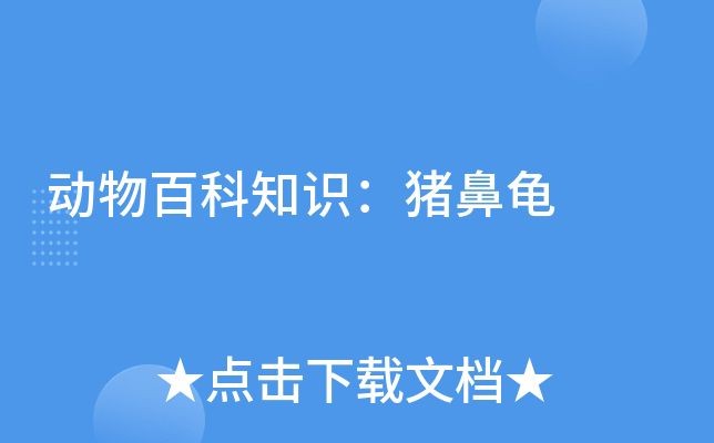 豬鼻龜為什么那么貴？：豬鼻龜為什么那么貴
