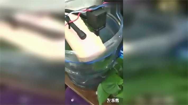 不想要魚(yú)缸怎么處理：不想要的魚(yú)缸可以根據(jù)個(gè)人喜好和需求進(jìn)行多種處理