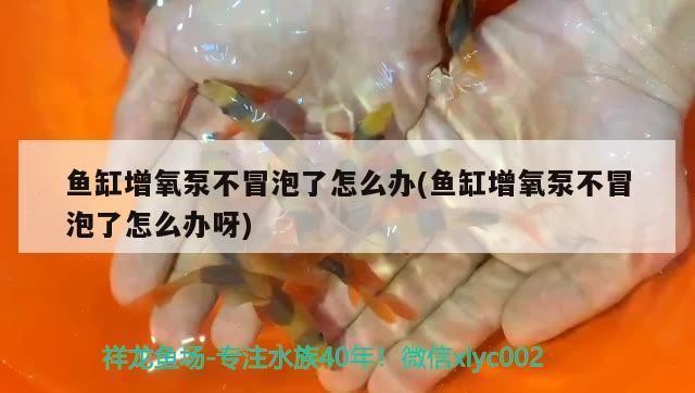 龍口市龍口龍海水族觀賞魚店（龍口市水族館）