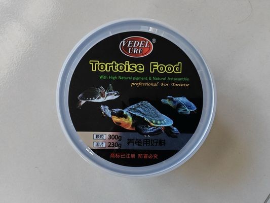 豬鼻龜蛋孵化技術要點和注意事項圖片：豬鼻龜蛋孵化烏龜蛋孵化方法與注意事項與注意事項分享
