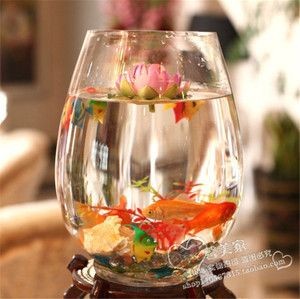玻璃小魚缸廠家批發(fā)：如何選擇玻璃小魚缸