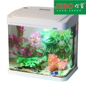 玻璃小魚缸廠家批發(fā)：如何選擇玻璃小魚缸