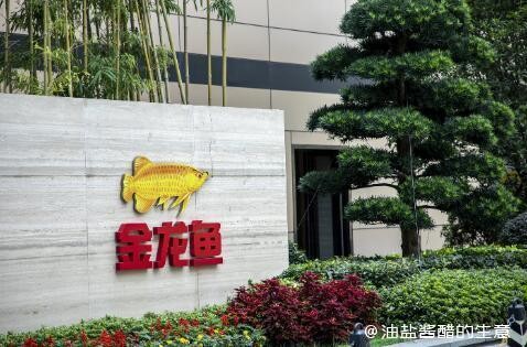 紅龍魚飼養(yǎng)溫度和濕度（紅龍魚飼養(yǎng)溫度和濕度是多少）