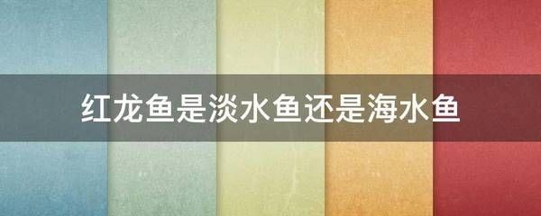 紅龍魚是海魚嗎還是河魚：紅龍魚是一種淡水魚而不是海魚而不是海魚，而不是海魚
