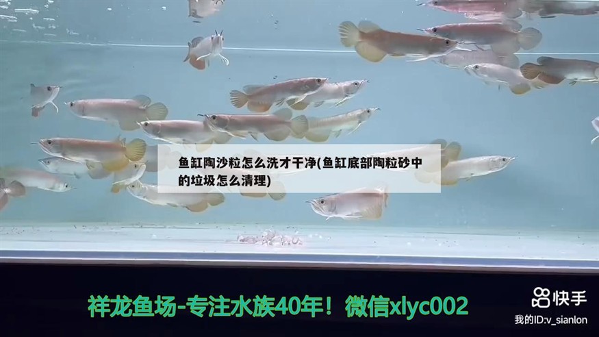 中國益生菌十大品牌(中國益生菌十大品牌排名) 豬鼻龜百科 第2張 中國益生菌十大品牌(中國益生菌十大品牌排名) 中國益生菌十大品牌(中國益生菌十大品牌排名) 豬鼻龜百科 第2張