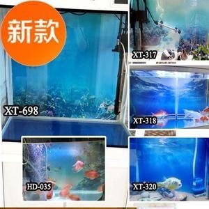 白色背景魚缸適合養什么魚：白色背景的魚缸適合養什么樣的魚？