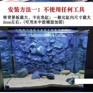 白色背景魚缸適合養什么魚：白色背景的魚缸適合養什么樣的魚？
