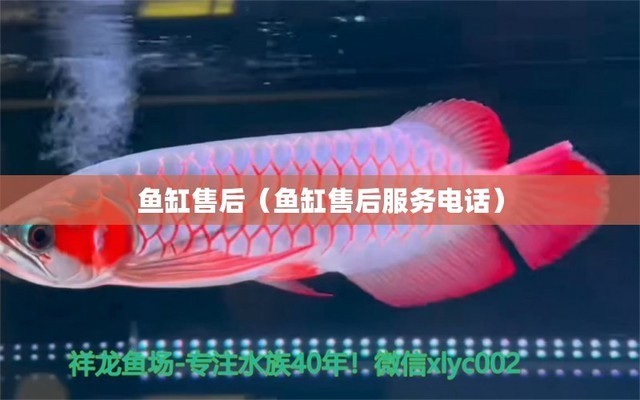 北京西紅門坤玉水族店 全國水族館企業名錄 第1張 北京西紅門坤玉水族店 北京西紅門坤玉水族店 全國水族館企業名錄 第1張