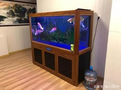 搬家搬魚缸過程風水禁忌：搬家搬家搬家風水講究和忌諱搬家風水講究和忌諱搬家風水講究
