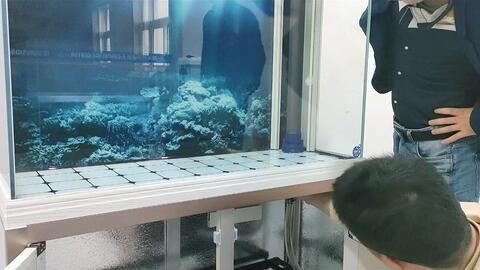 半圓型魚缸安裝