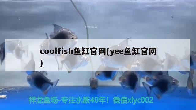 豬鼻龜為什么脫皮 豬鼻龜為什么脫皮 豬鼻龜百科 第2張