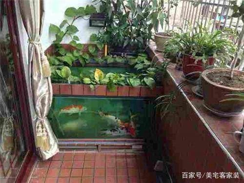 北陽臺可以放魚缸嗎：北陽臺可以放置魚缸嗎？