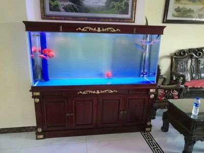 定做的魚缸為什么比成品缸好呢：diy魚缸選擇成品缸的優缺點和缺點