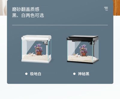 斗魚魚缸換水：斗魚換水的方法和注意事項