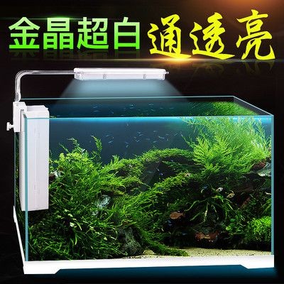 斗魚魚缸換水：斗魚換水的方法和注意事項
