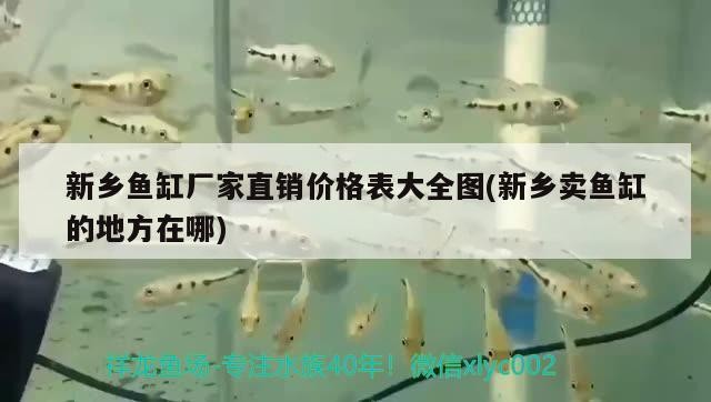 新鄉魚缸廠家直銷價格表大全圖(新鄉賣魚缸的地方在哪)