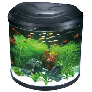 九三局直佳佳水族館（九三局貼吧）