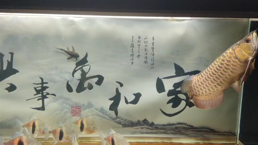 一晃大家七個月了