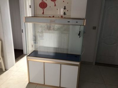 大件魚缸運費多少合適：大件魚缸的運費是多少 大件魚缸運費多少合適：大件魚缸的運費是多少 魚缸百科 第3張