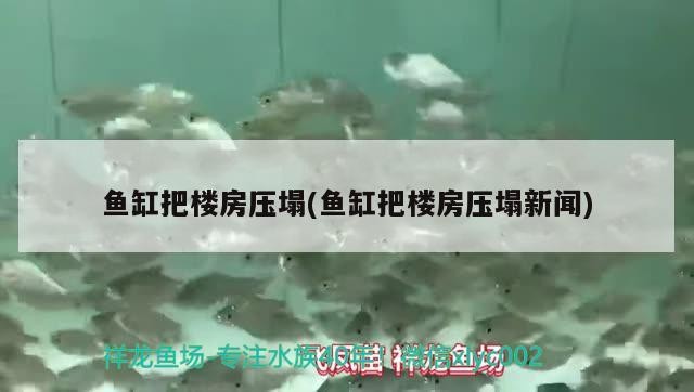 魚缸把樓房壓塌(魚缸把樓房壓塌新聞)