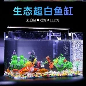 大魚缸組裝視頻教學：大型魚缸的組裝技巧