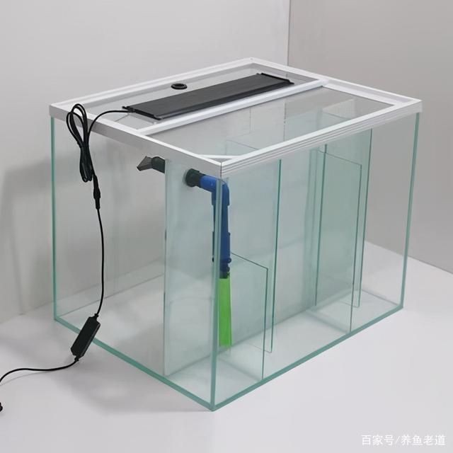 側濾魚缸的缺點