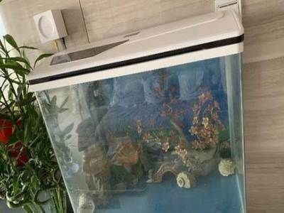 搬家公司魚缸破碎不包賠合理嗎視頻：公探討搬家公司對魚缸破損賠償問題產生糾紛是否合理