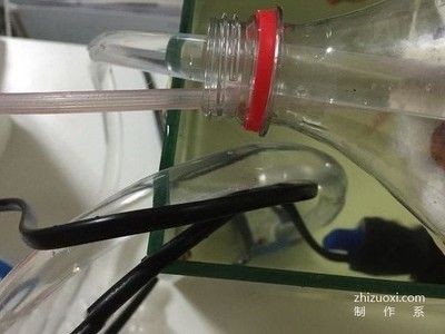 大飲料瓶制作魚缸視頻：如何使用大飲料瓶制作魚缸