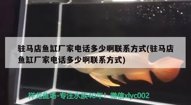 駐馬店魚缸廠家電話多少啊聯(lián)系方式(駐馬店魚缸廠家電話多少啊聯(lián)系方式)