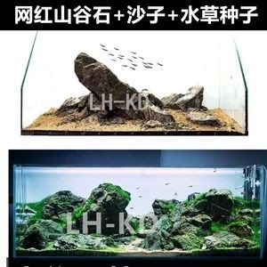 沉木魚缸造景要不塞滿沙子：沉木在魚缸造景中的作用和用途 沉木魚缸造景要不塞滿沙子：沉木在魚缸造景中的作用和用途 魚缸百科 第1張