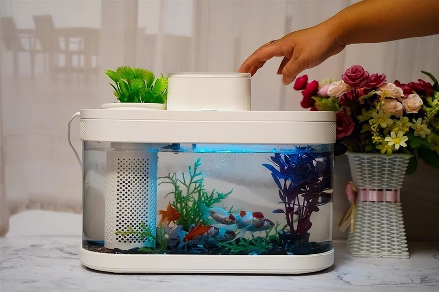大型魚缸費電嗎：大型魚缸的耗電量主要取決于以下幾個因素