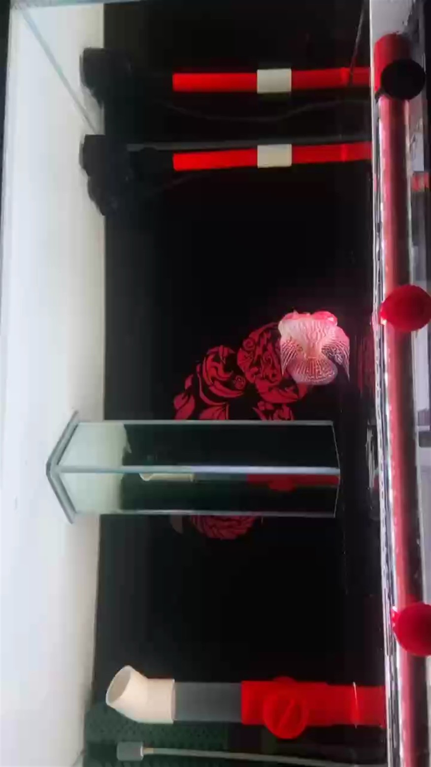 、