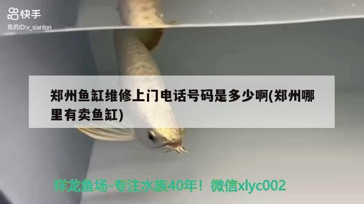 鄭州魚缸維修上門電話號碼是多少啊(鄭州哪里有賣魚缸)