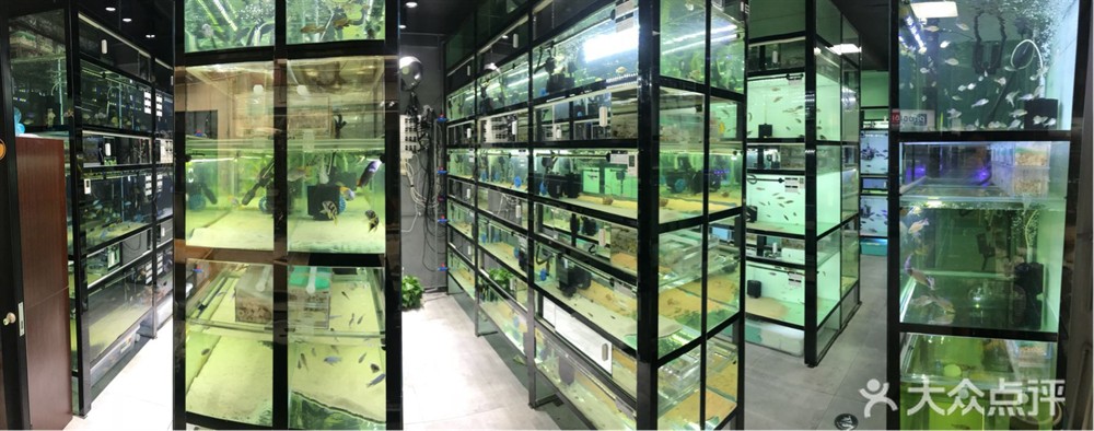 單縣哪里有賣魚缸的店：單縣魚多多漁具店
